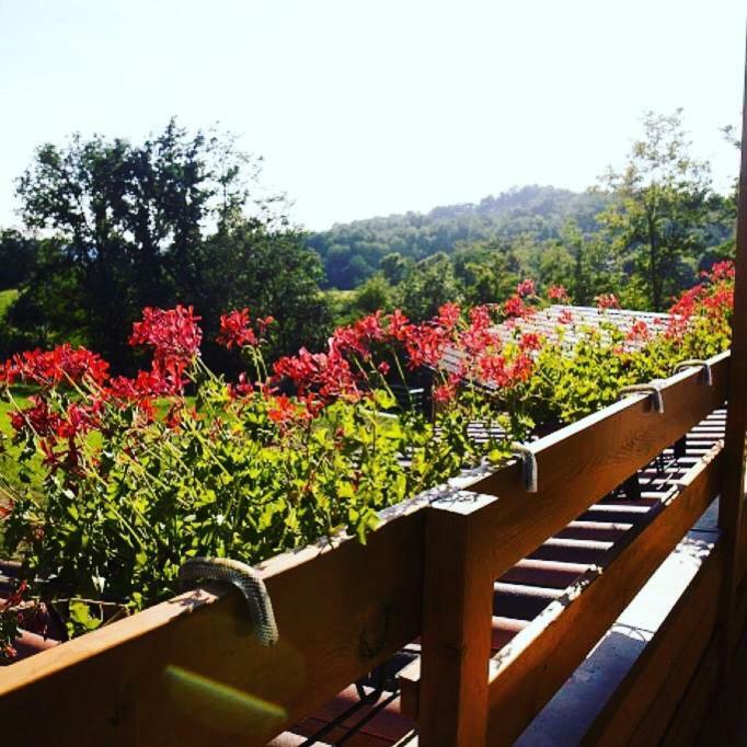 Bed and Breakfast Ca' Del Cuco Barzana Екстер'єр фото